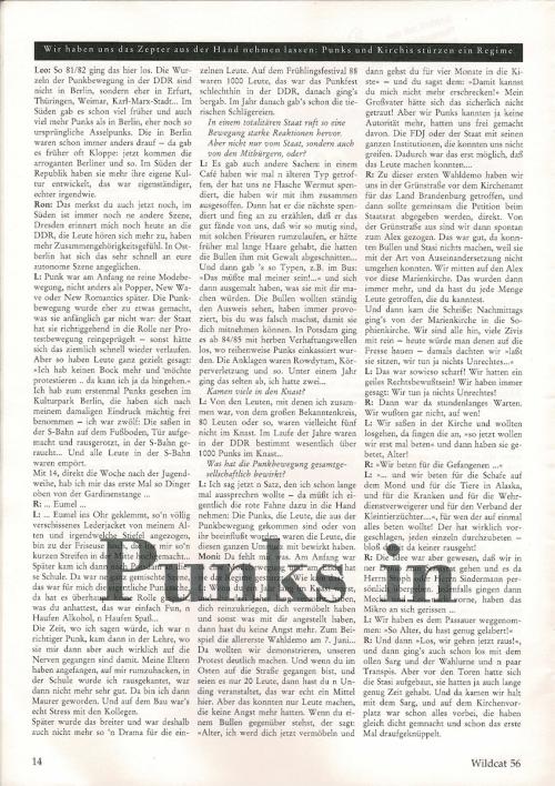 Zeitzeugen-Interview Punks